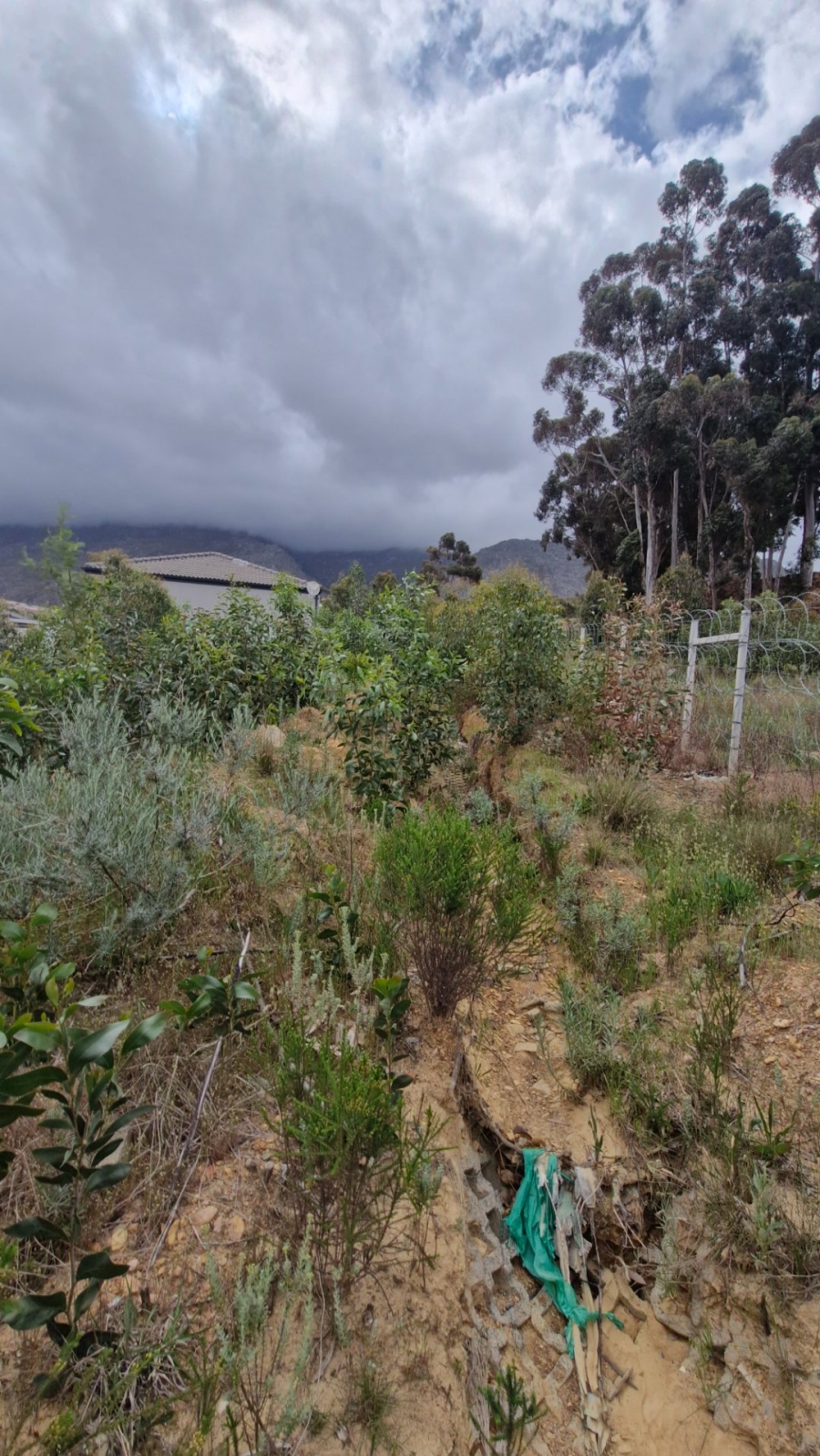 Commercial Property for Sale in Villiersdorp Western Cape